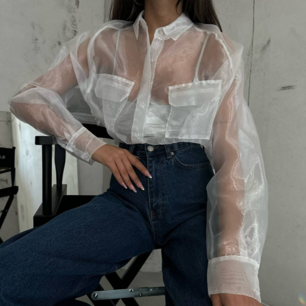 White Transparent Blouse