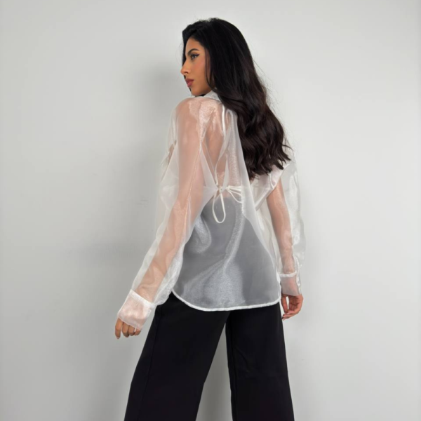 White Transparent Blouse